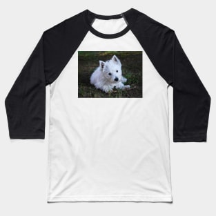 Westie Baseball T-Shirt